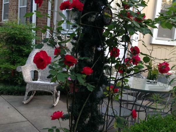 Port City Guest House Wilmington Exterior foto